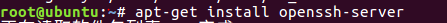 DSC00013.png