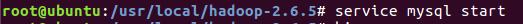 DSC00048.png