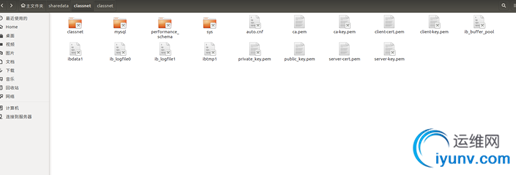 DSC0007.png