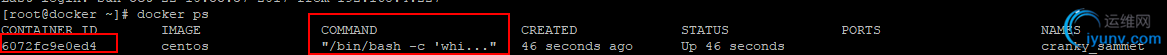 DSC0005.png