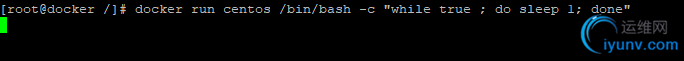 DSC0004.png