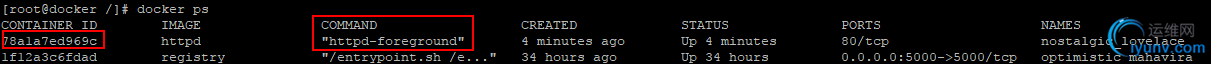 DSC0007.png