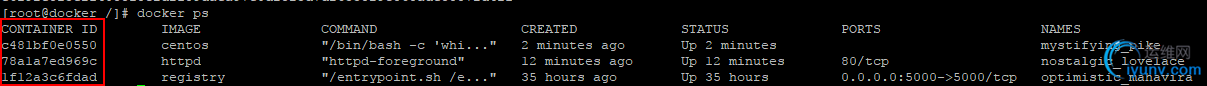DSC0009.png