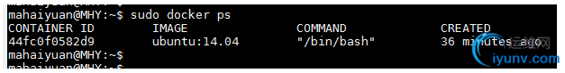 DSC0001.png