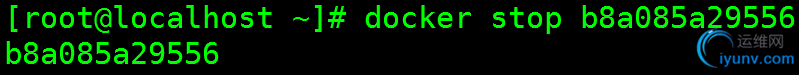 DSC0004.png