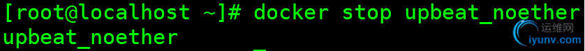 DSC0005.png