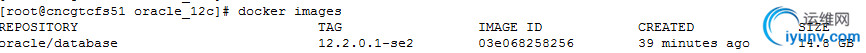 DSC0004.png