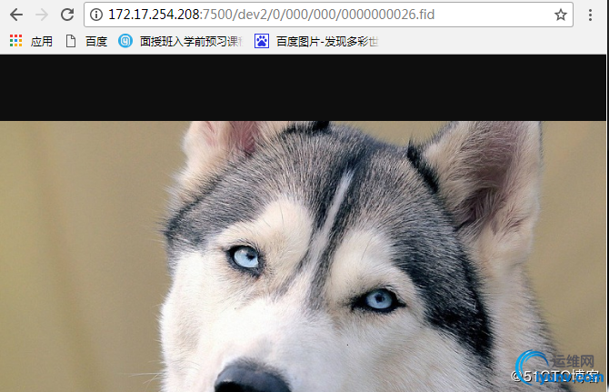 watermark,size_16,text_QDUxQ1RP5Y2a5a6i,color_FFFFFF,t_100,g_se,x_10,y_10,shadow_90,type_ZmFuZ3poZW5naGVpdGk=.jpg