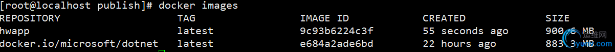 DSC0000.png