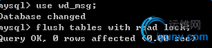 DSC00010.png