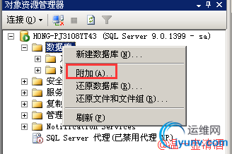 DSC0008.png