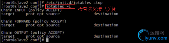 DSC00033.png