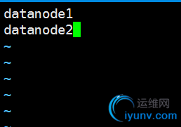DSC0008.png