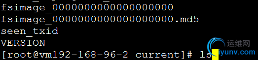 DSC00011.png