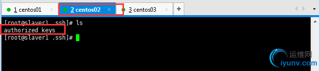 DSC00021.png