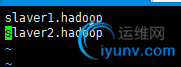 DSC00029.png