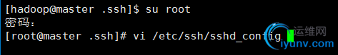 DSC0006.png