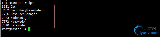 DSC00040.png