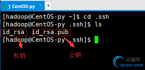 DSC00021.png