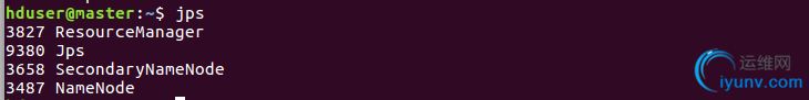 DSC00031.png