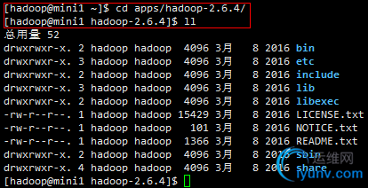 DSC0006.png