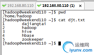 DSC0003.png