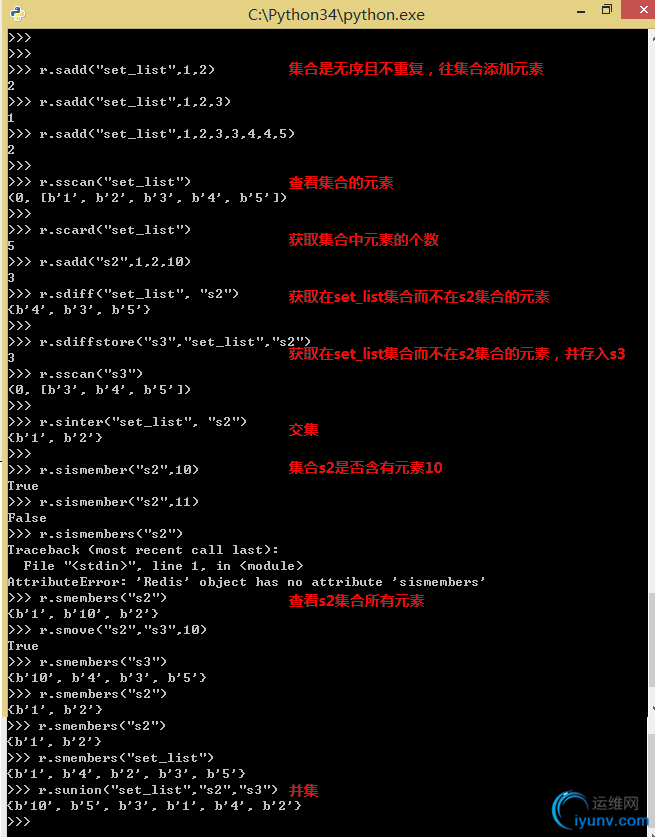 DSC0008.png
