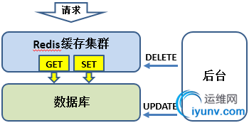 DSC0002.png