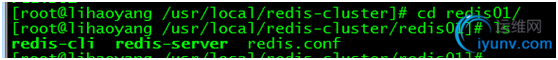 DSC0009.png