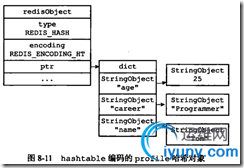DSC00031.png