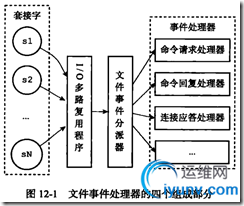 DSC0008.png