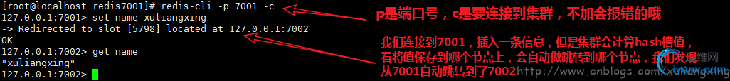 DSC00039.png