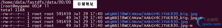 DSC00013.png
