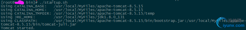DSC0003.png