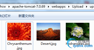 DSC0009.png