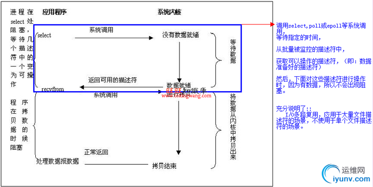 DSC0005.png