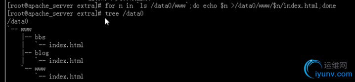 DSC0007.png