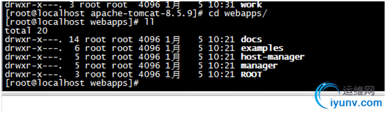 DSC00026.png