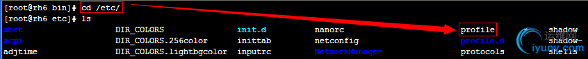 DSC0006.png