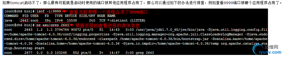 DSC00012.png