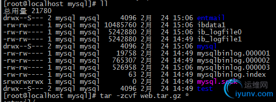 DSC0004.png