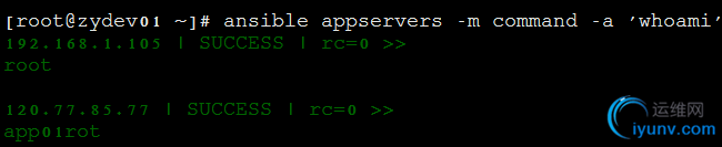 DSC0002.png