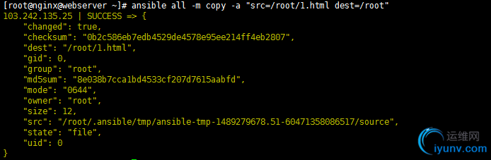 DSC0006.png
