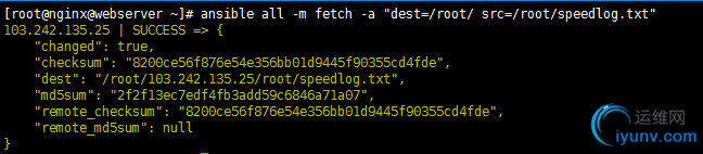 DSC0009.png