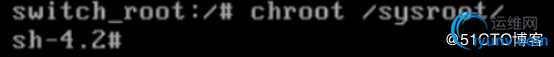 DSC0008.jpg