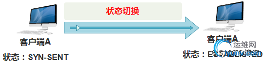 DSC00010.jpg