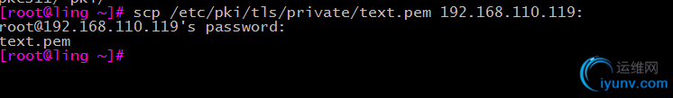 DSC00010.png