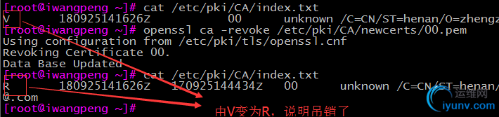 DSC00016.png