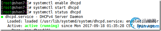DSC00012.png