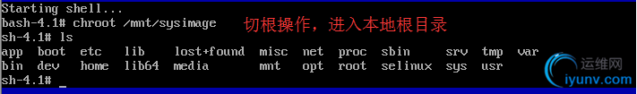 DSC00019.png